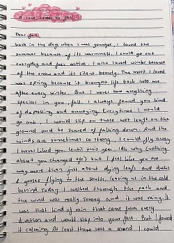 a love letter to fall (1)